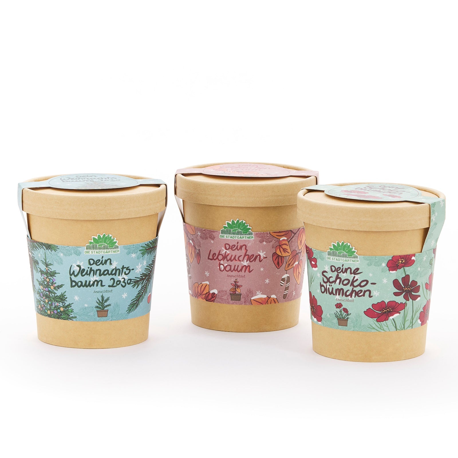 Tres macetas marrones con etiquetas de colores, rotuladas "Tu árbol de Navidad", "Tu árbol de jengibre" y "Tus flores de chocolate".