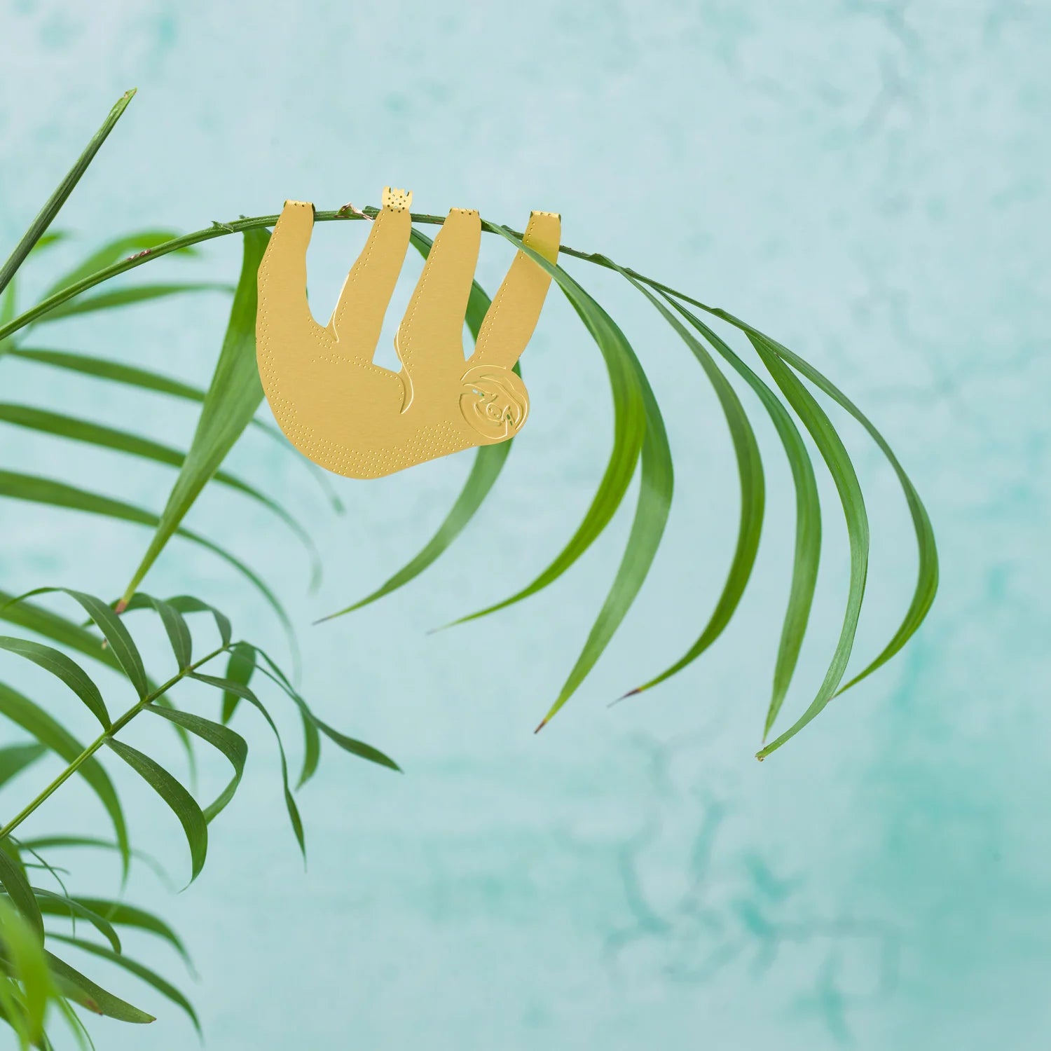 Perezoso animal vegetal