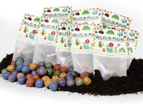 Lote de 10 billetes de 5x10 de flores de colores para niños
