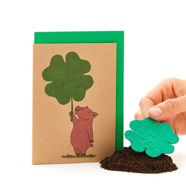 Tarjeta plegable con forma personalizada de papel de semillas / papel con semillas