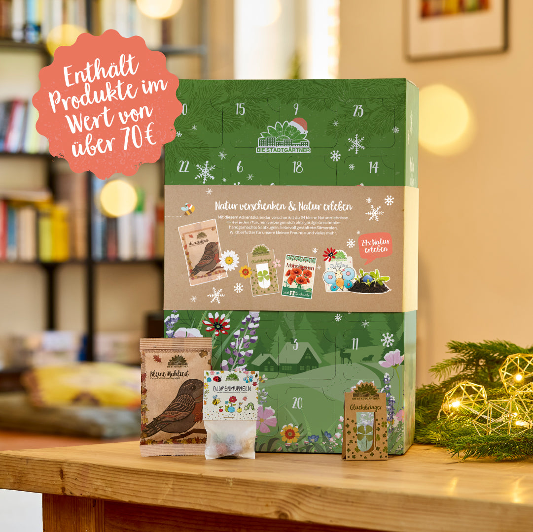 Sobre una mesa de madera hay un calendario de Adviento con un diseño verde e invernal, frente a una estantería borrosa, con adornos y pequeñas bolsas para semillas y bolas de flores en primer plano; el texto en el calendario y una burbuja roja indican productos con un valor superior a 70 euros.