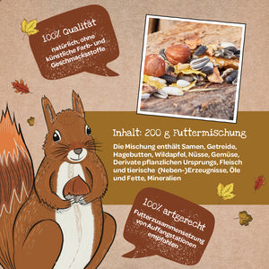 Ilustración de una ardilla con una mezcla de semillas, nueces y granos, rodeada de hojas de otoño y cuadros de texto que describen la calidad y composición de 200 g de mezcla de alimento.