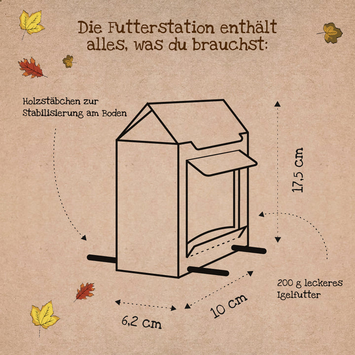 Dibujo lineal de un comedero con dimensiones (17,5 cm de alto, 10 cm de profundidad, 6,2 cm de ancho), palos de madera para estabilización e indicación de 200 g de comida para erizos, rodeado de hojas de otoño.