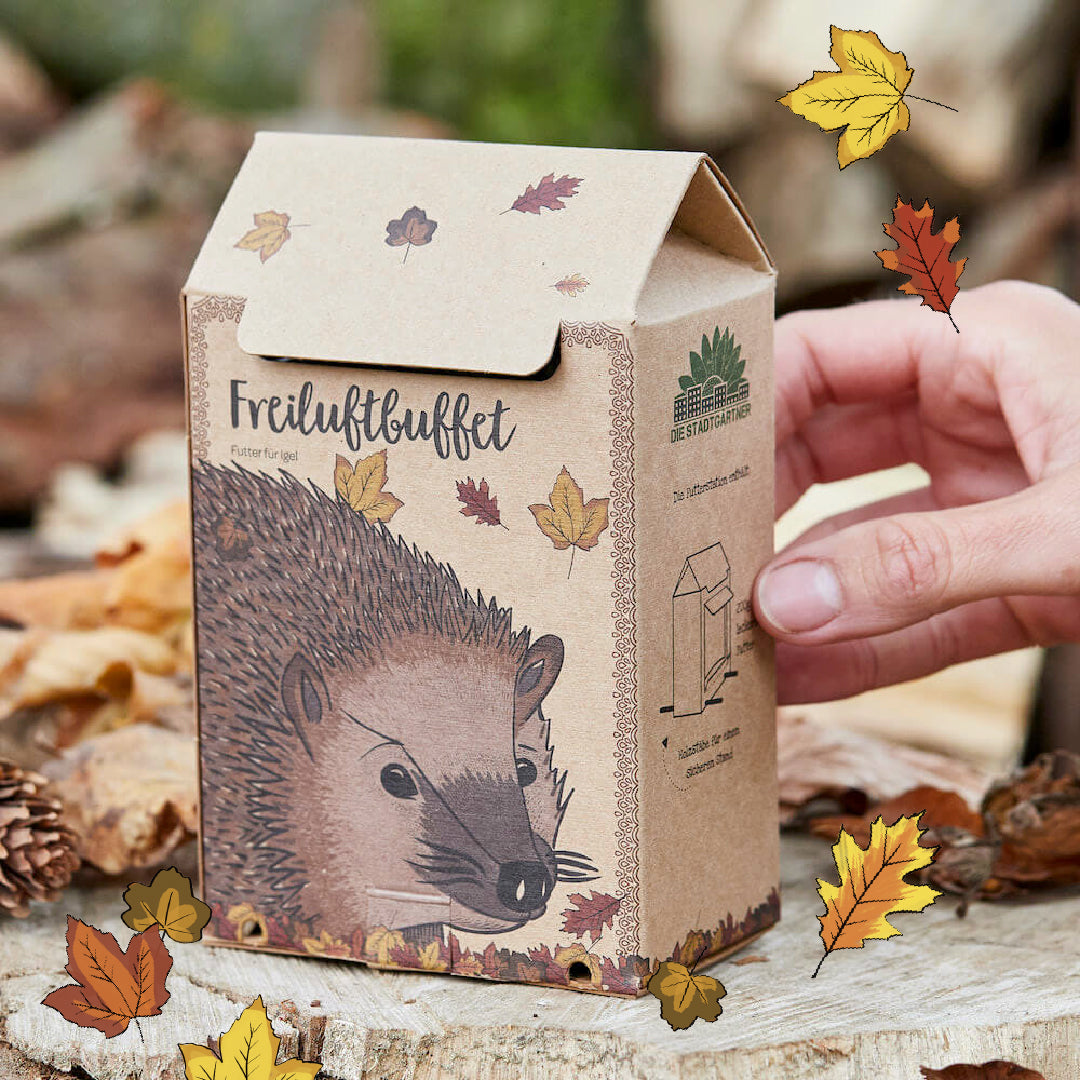 Caja de cartón con ilustración de un erizo y la inscripción "Buffet al aire libre", al lado una mano y hojas de otoño.