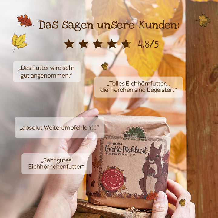 Persona sosteniendo un paquete de comida para ardillas "Big Meal" frente a hojas de otoño, rodeada de reseñas de clientes y una calificación de 4,8 de 5 estrellas.