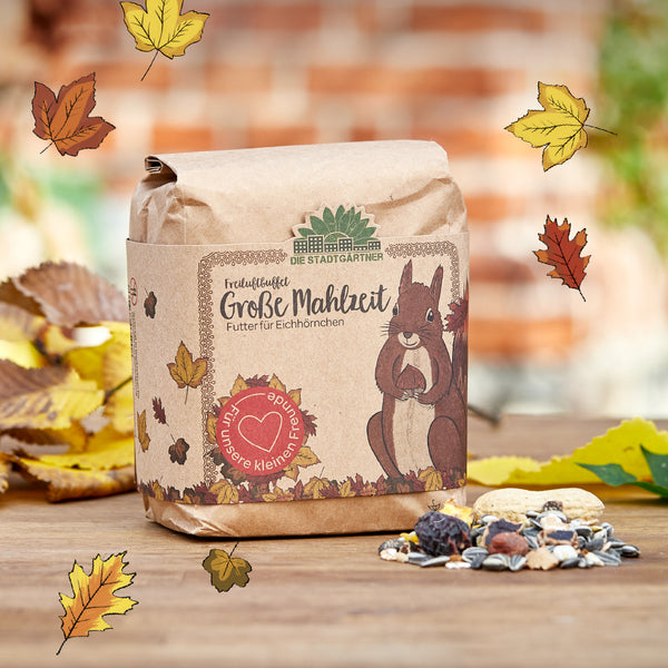 Bolsa de papel marrón con ilustración de una ardilla y la inscripción "Big Meal - Comida para ardillas" de Die Stadtgärtner, rodeada de hojas de otoño y nueces sobre una mesa de madera.