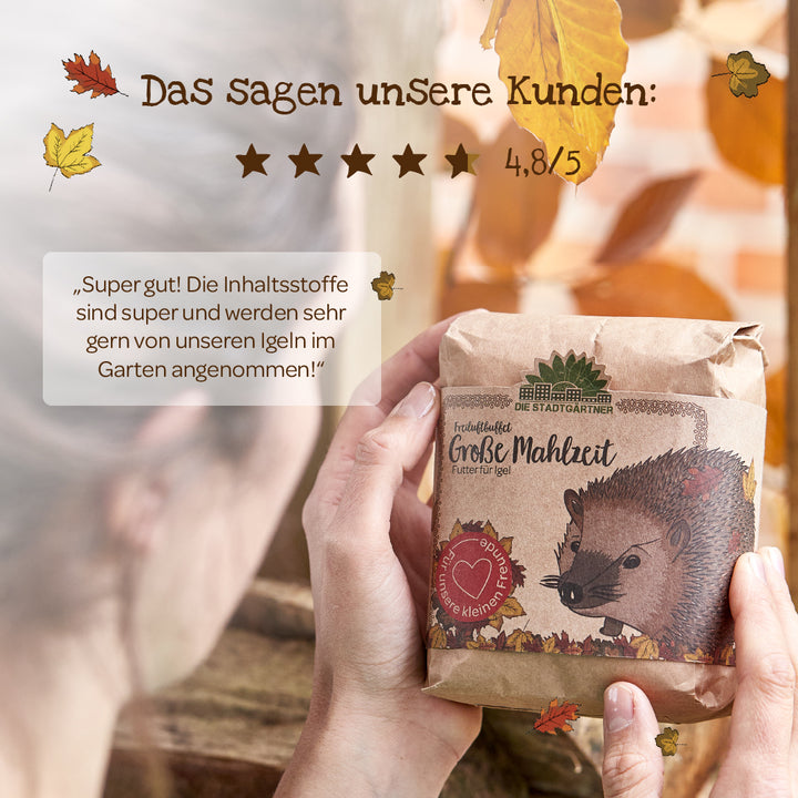 Una persona sostiene un paquete de comida para erizos con una ilustración de un erizo; arriba, una reseña de un cliente con 4,8 de 5 estrellas y comentarios positivos, con hojas de otoño de fondo.