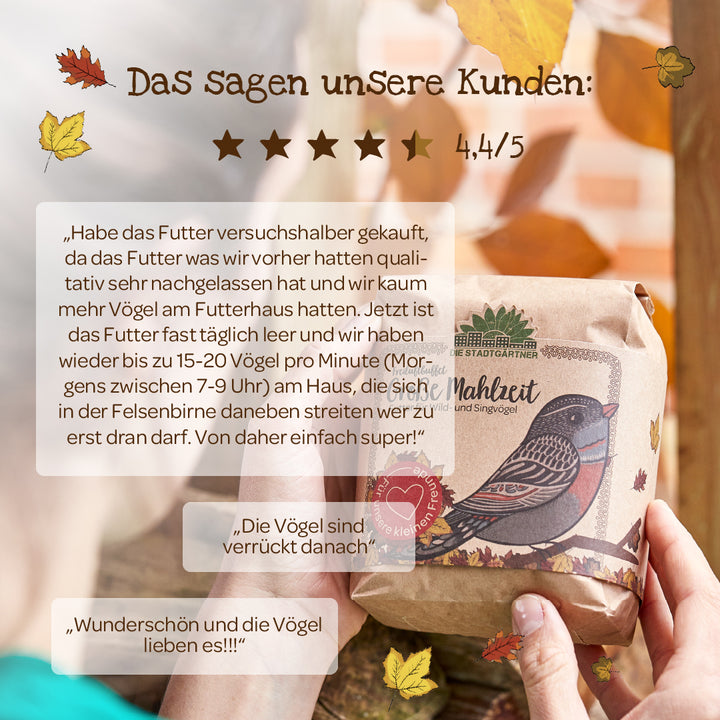 Comentarios y opiniones de clientes sobre comida para pájaros (4,4/5 estrellas) con decoración otoñal; en primer plano, una persona sostiene un paquete de comida para pájaros con una ilustración de un pájaro.