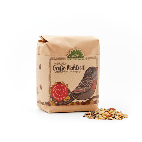 Bolsa de papel con dibujo de un pájaro y la inscripción "Big Meal - Alimento para pájaros silvestres y cantores" junto a una pequeña porción de alpiste sobre fondo blanco.