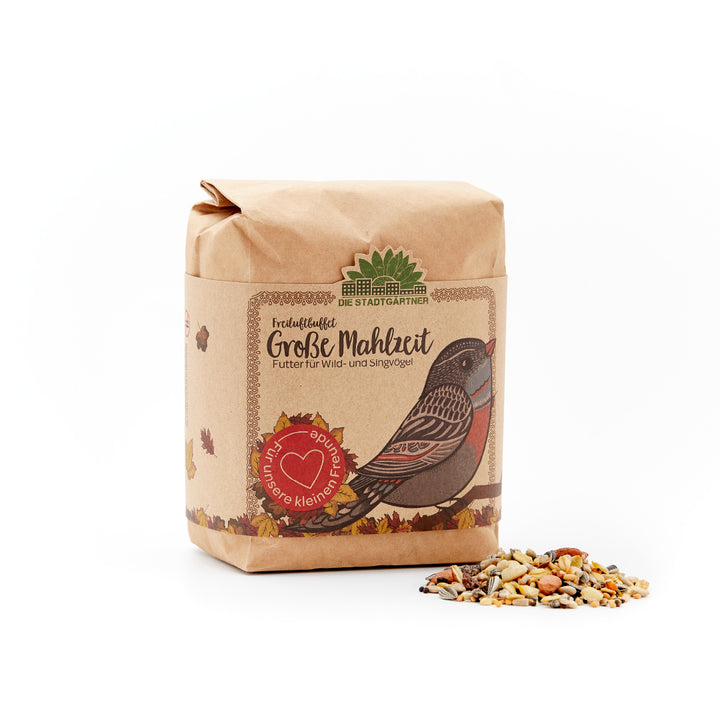 Bolsa de papel con dibujo de un pájaro y la inscripción "Big Meal - Alimento para pájaros silvestres y cantores" junto a una pequeña porción de alpiste sobre fondo blanco.