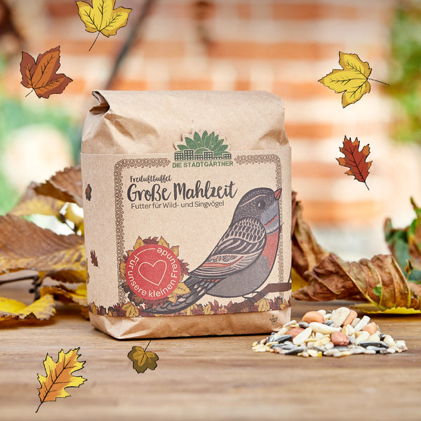 Bolsa de papel con alimento para pájaros silvestres y cantores, decorada con una ilustración de un pájaro y coloridas hojas de otoño, con naturaleza borrosa y una pared de ladrillos al fondo.