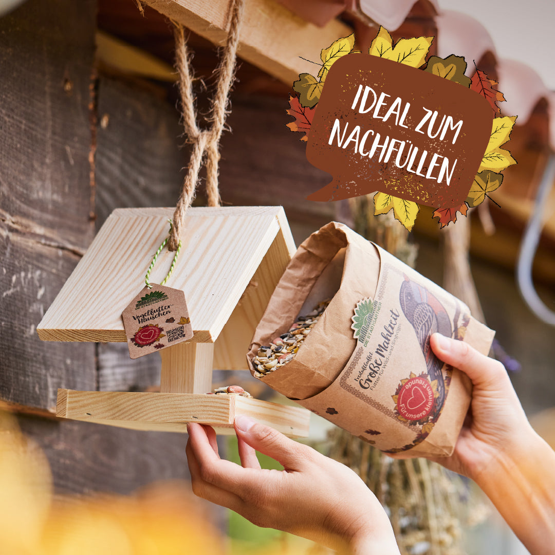 Una persona llena una pajarera de madera con alpiste de una bolsa de papel; en la imagen se lee "Ideal para rellenar".