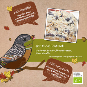 Ilustración de un pájaro en una rama con una bola de masa hecha con semillas de pájaro orgánicas, rodeado de hojas de otoño y cuadros de texto con información sobre los ingredientes y la calidad de la bola de masa.