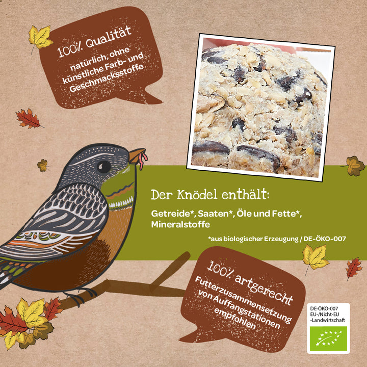 Ilustración de un pájaro en una rama con una bola de masa hecha con semillas de pájaro orgánicas, rodeado de hojas de otoño y cuadros de texto con información sobre los ingredientes y la calidad de la bola de masa.