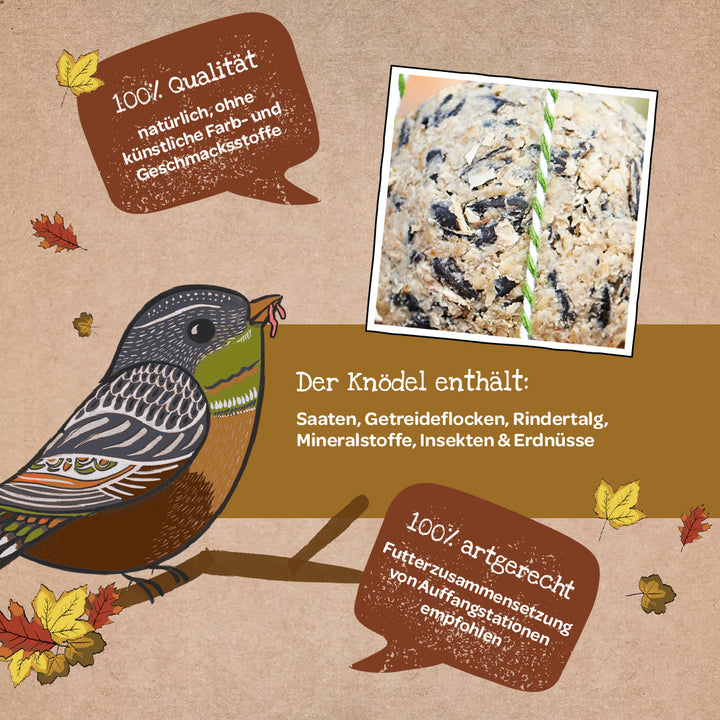 Ilustración de un pájaro en una rama con texto sobre la calidad y composición de una bola de sebo, así como un primer plano de la bola; hojas de otoño como decoración.