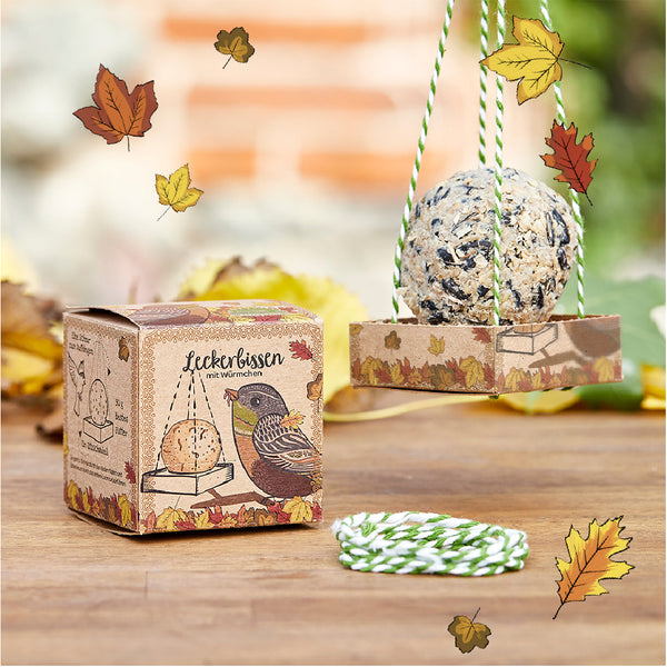 Comedero para pájaros en embalaje decorativo con hojas de otoño, al lado un cordón, fotografiado sobre una mesa de madera al aire libre.
