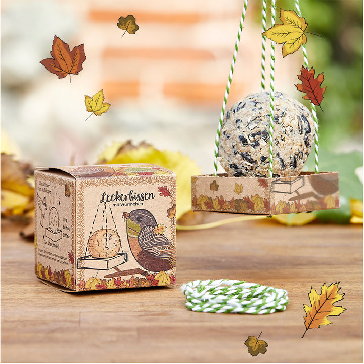 Comedero para pájaros en embalaje decorativo con hojas de otoño, al lado un cordón, fotografiado sobre una mesa de madera al aire libre.