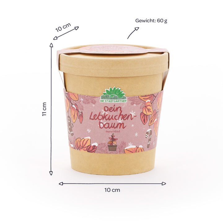Maceta de color marrón con etiqueta decorativa “Tu árbol de jengibre”, con unas dimensiones de 10 cm de diámetro, 11 cm de alto y 60 g de peso.