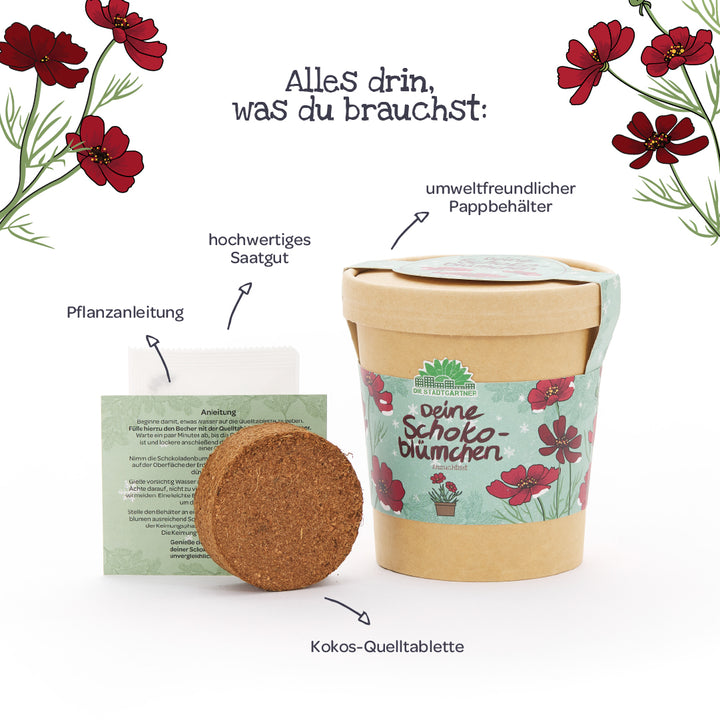 El juego incluye un recipiente de cartón ecológico, una tableta de expansión de coco, semillas de alta calidad e instrucciones de plantación de flores de chocolate, decoradas con motivos florales.