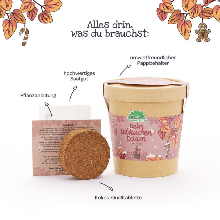 El kit de cultivo "Tu árbol de jengibre" consta de un recipiente de cartón ecológico, pellets de coco, semillas de alta calidad e instrucciones de plantación ilustradas y etiquetadas en alemán.