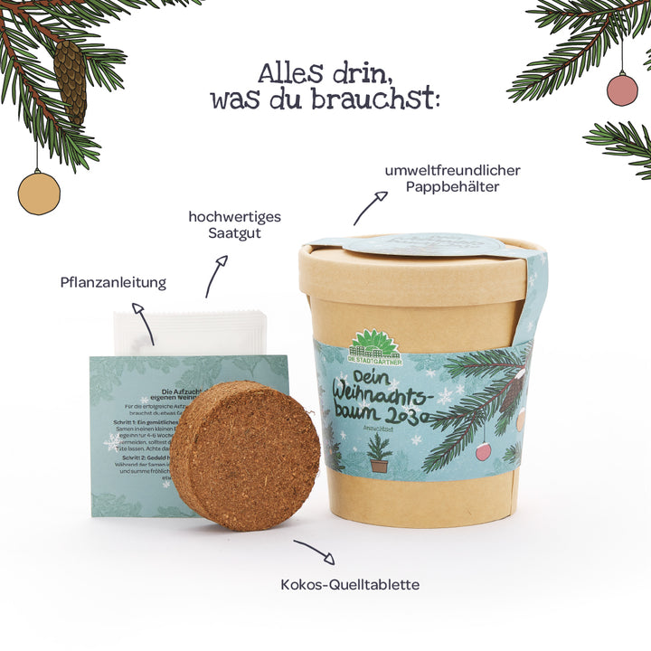 Juego con vaso de papel ecológico, tableta de expansión de coco, semillas de alta calidad e instrucciones de plantación para su propio árbol de Navidad, ilustrado decorativamente con ramas de abeto.