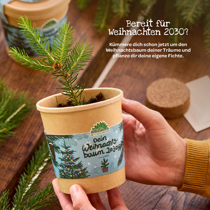 Una persona sostiene una pequeña maceta con un abeto joven y una etiqueta "tu árbol de Navidad 2030".