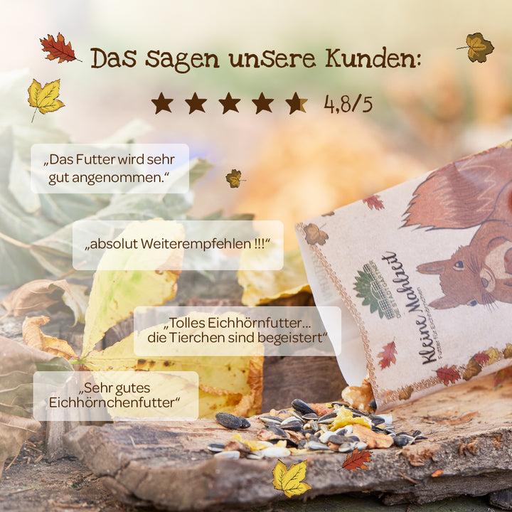 Reseñas de clientes de comida para ardillas con 4,8 de 5 estrellas, envase con ilustración de ardilla, comida elaborada con semillas de girasol y hojas sobre un tronco de árbol.