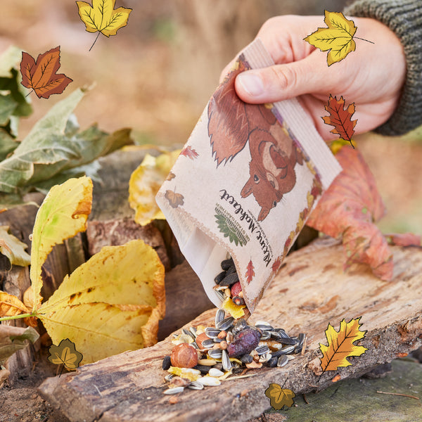 Una mano vierte una bolsa de nueces y semillas en el tronco de un árbol en el bosque otoñal, rodeado de hojas coloridas.