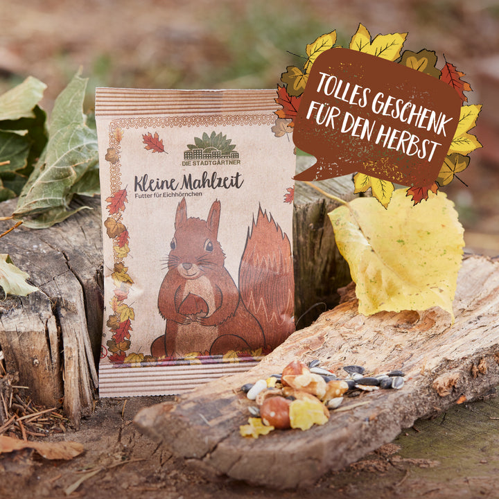 Paquete de comida para ardillas en el tronco de un árbol rodeado de hojas de otoño con el texto "Gran regalo para el otoño".