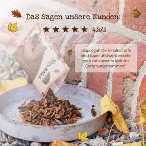 Una mano vierte una bolsa de alimento seco para insectos en un recipiente en el suelo, junto a una pared de ladrillos. El envase presenta el dibujo de un erizo. La imagen incluye una reseña de un cliente y hojas de otoño.