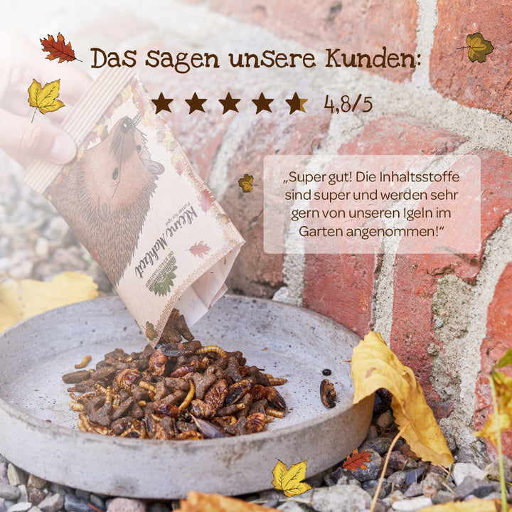 Una mano vierte una bolsa de alimento seco para insectos en un recipiente en el suelo, junto a una pared de ladrillos. El envase presenta el dibujo de un erizo. La imagen incluye una reseña de un cliente y hojas de otoño.