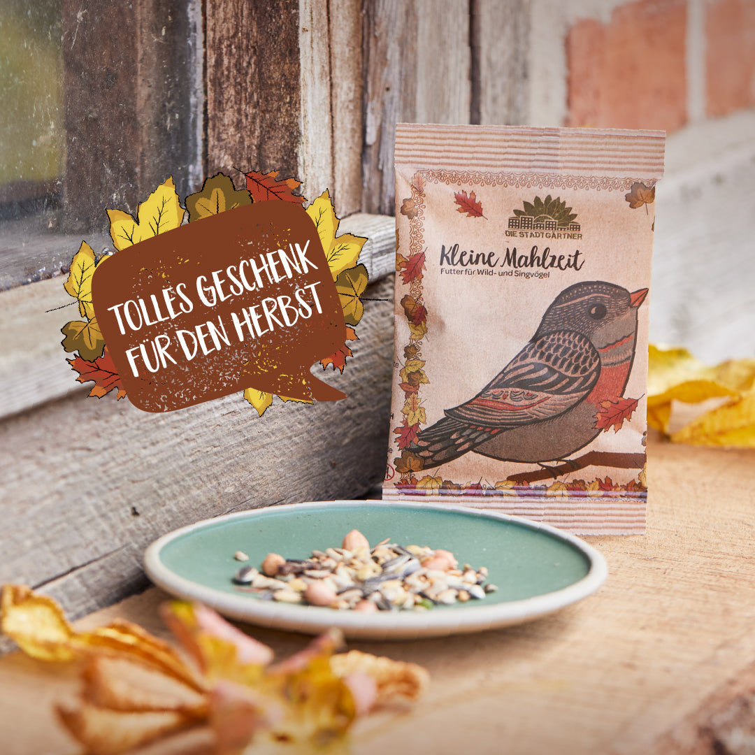 Paquete de alpiste con motivo otoñal y la inscripción "Gran regalo para el otoño" junto a un plato de alpiste en una mesa de madera.