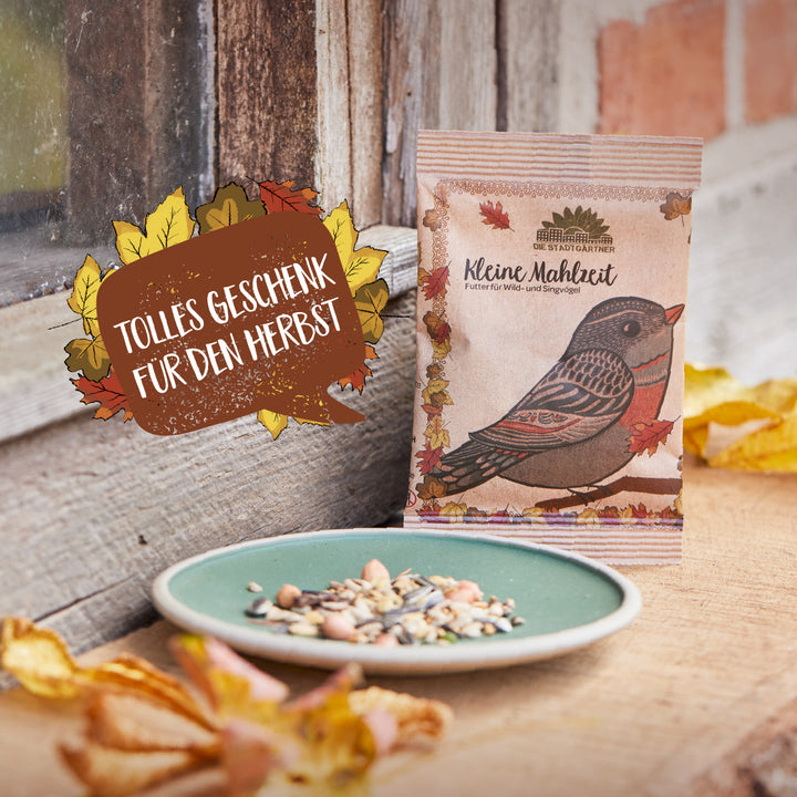 Paquete de alpiste con motivo otoñal y la inscripción "Gran regalo para el otoño" junto a un plato de alpiste en una mesa de madera.