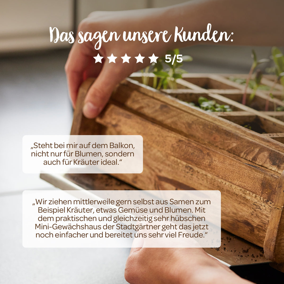 Primer plano de unas manos que sostienen un invernadero de madera en miniatura con plantas jóvenes sobre una mesa; las opiniones de los clientes y una calificación de 5 estrellas en alemán se muestran arriba.