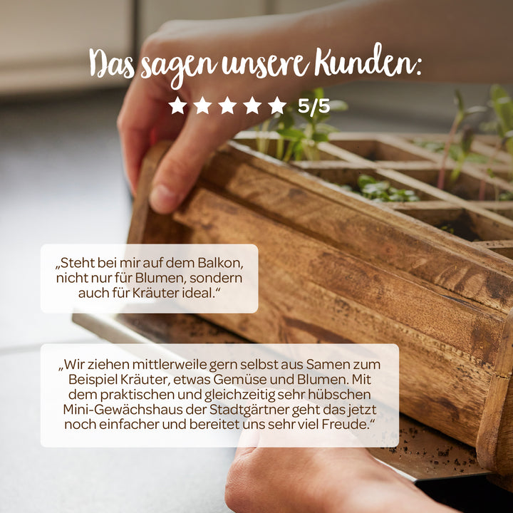 Primer plano de unas manos que sostienen un invernadero de madera en miniatura con plantas jóvenes sobre una mesa; las opiniones de los clientes y una calificación de 5 estrellas en alemán se muestran arriba.