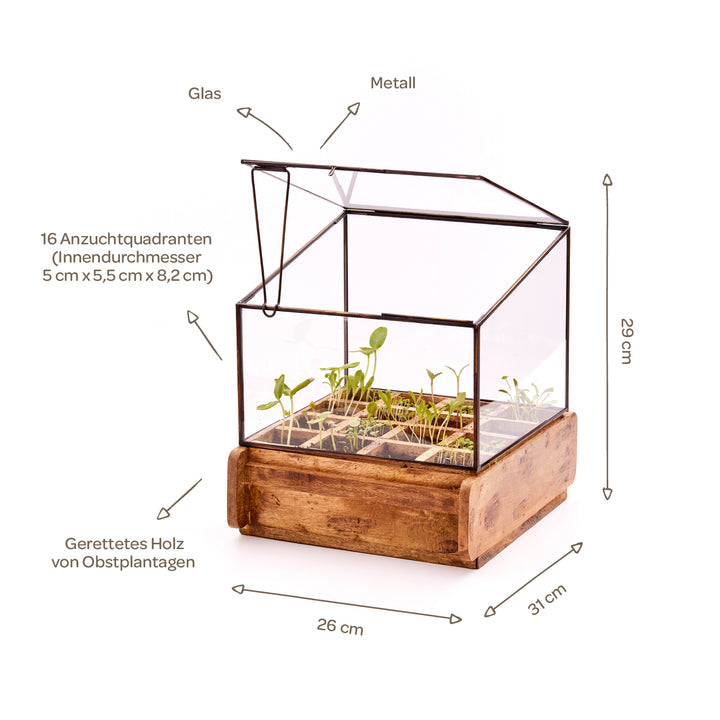Mini invernadero de cristal y metal con base de madera, 16 cuadrantes de cultivo con plantas jóvenes, dimensiones y materiales etiquetados.