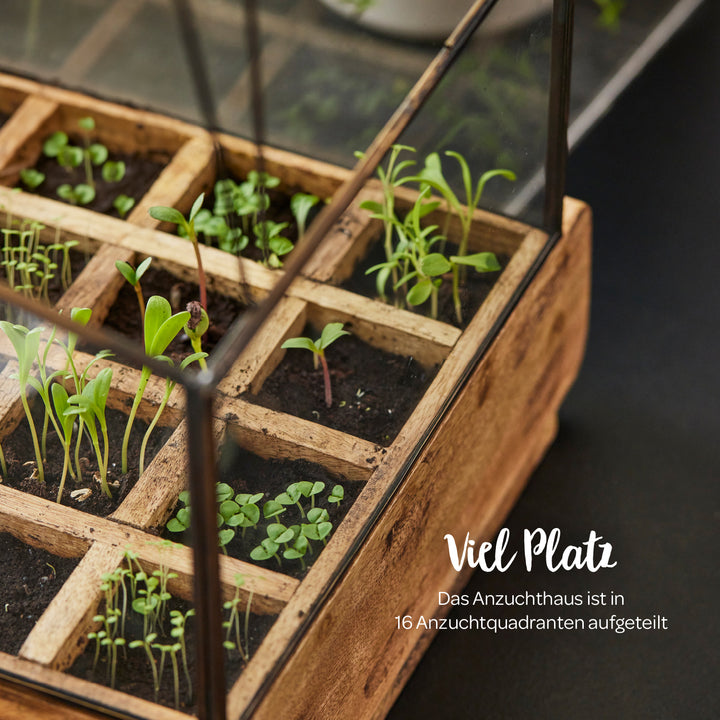 Vivero de madera con 16 compartimentos cuadrados en los que crecen diversas plantas.