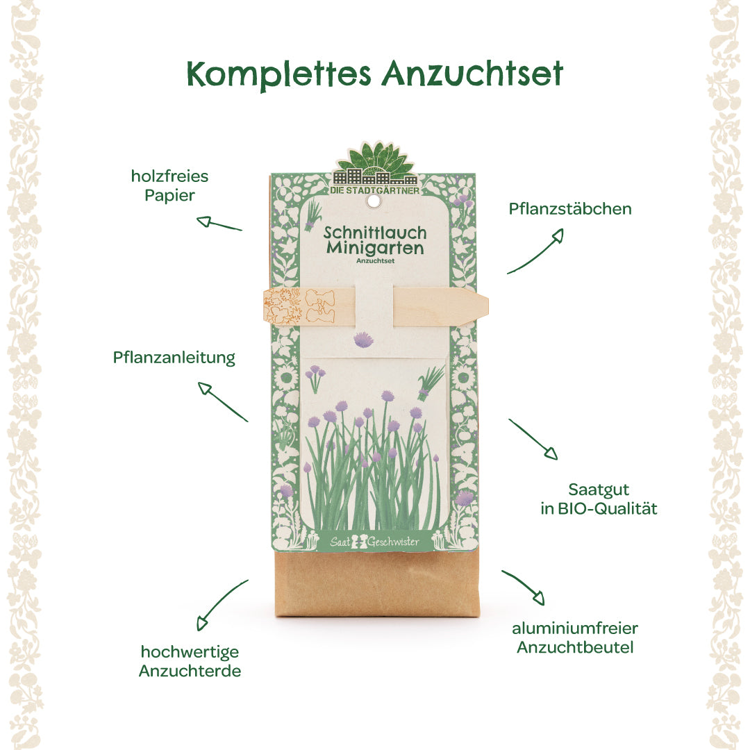 Kit completo para cultivar cebollino con papel sin madera, estacas para plantar, instrucciones de plantación, tierra para macetas de alta calidad, semillas orgánicas y una bolsa de cultivo sin aluminio.
