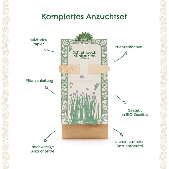 Kit completo para cultivar cebollino con papel sin madera, estacas para plantar, instrucciones de plantación, tierra para macetas de alta calidad, semillas orgánicas y una bolsa de cultivo sin aluminio.