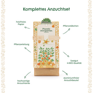 Kit de cultivo completo para Physalis con papel sin madera, estacas para plantar, instrucciones de plantación, semillas orgánicas, tierra para macetas de alta calidad y bolsa de cultivo sin aluminio.