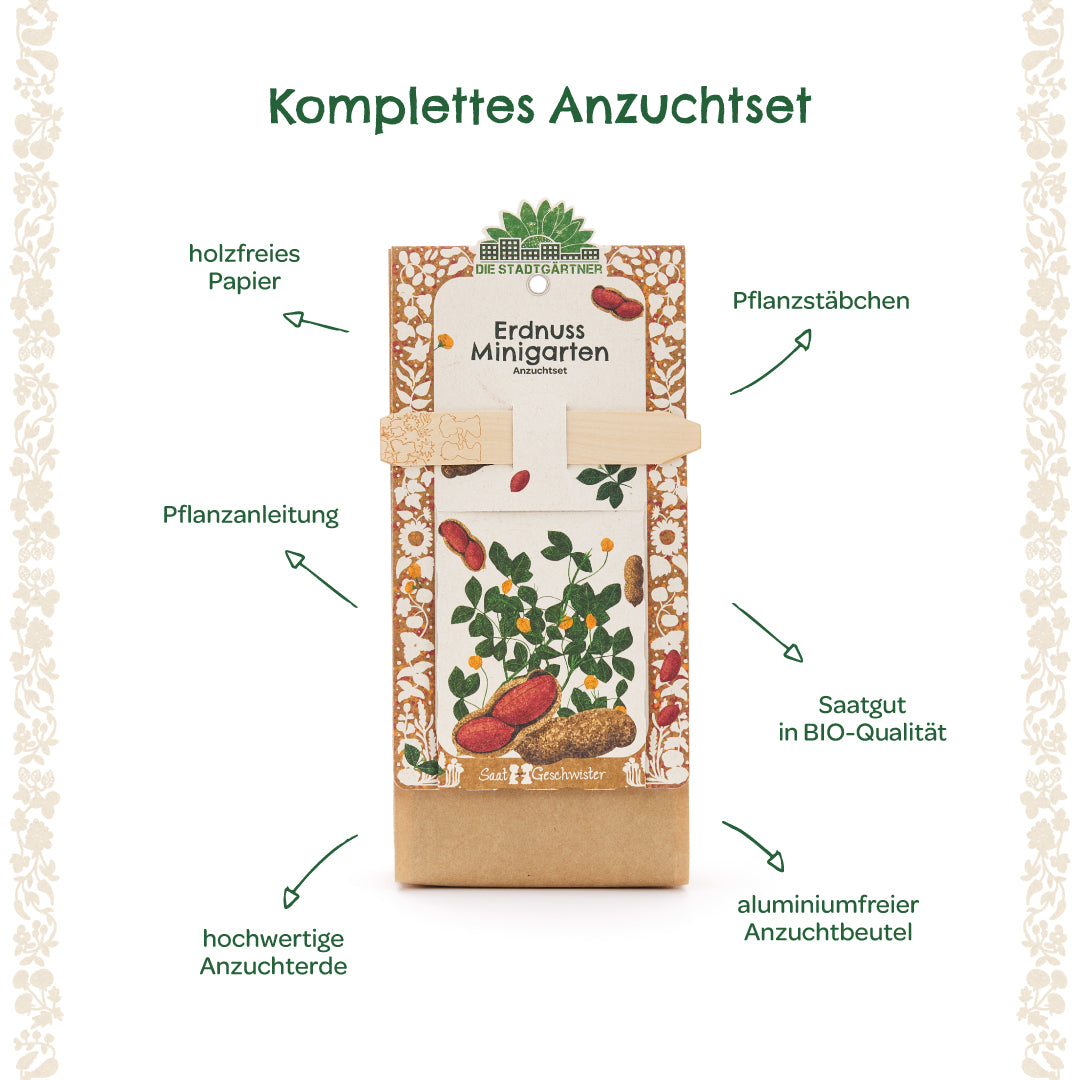 Kit completo para cultivar maní con instrucciones de plantación, palos de plantación, semillas orgánicas, tierra para macetas de alta calidad, papel sin madera y bolsa de cultivo sin aluminio.