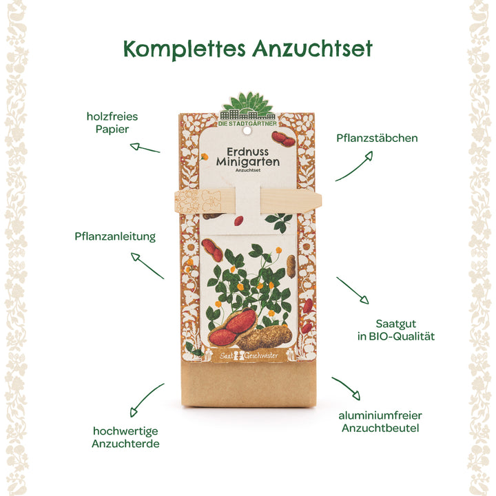 Kit completo para cultivar maní con instrucciones de plantación, palos de plantación, semillas orgánicas, tierra para macetas de alta calidad, papel sin madera y bolsa de cultivo sin aluminio.