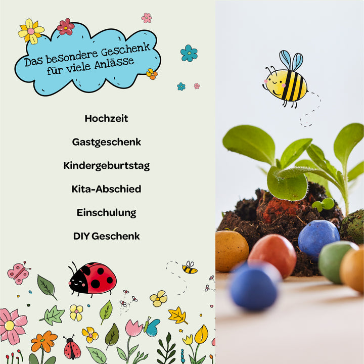 Infografía colorida e ilustrada con el texto: "El regalo especial para muchas ocasiones" y ocasiones como bodas, regalos para invitados, cumpleaños infantiles, despedidas de guarderías, inscripciones escolares y regalos DIY; junto a ellos, una planta, materiales naturales, bolas de semillas y una abeja dibujada.
