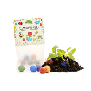 Bolas de semillas de flores de colores junto a una plántula y un paquete etiquetado "FLOWER MARBLE" sobre un fondo blanco.