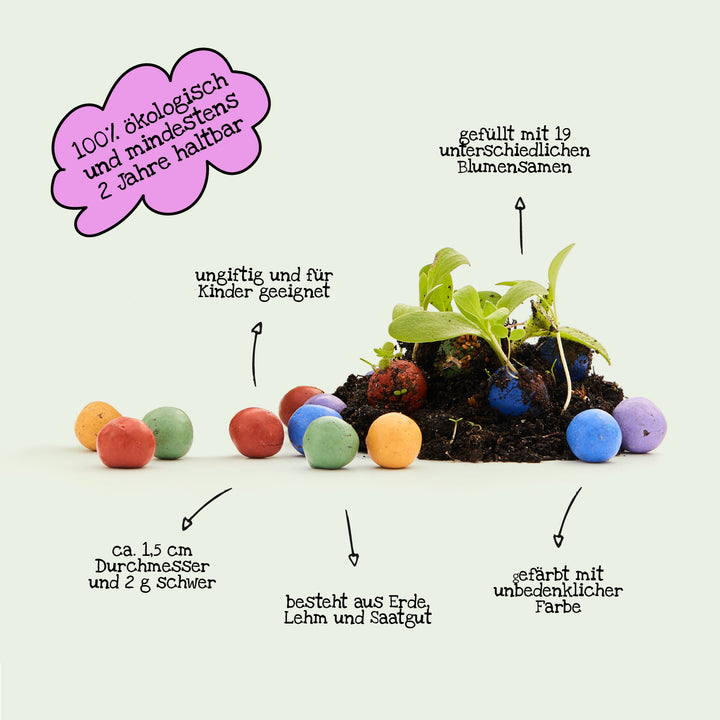 Bombas de semillas coloridas y una planta en germinación con notas informativas en alemán sobre sostenibilidad ecológica y componentes de contenido.