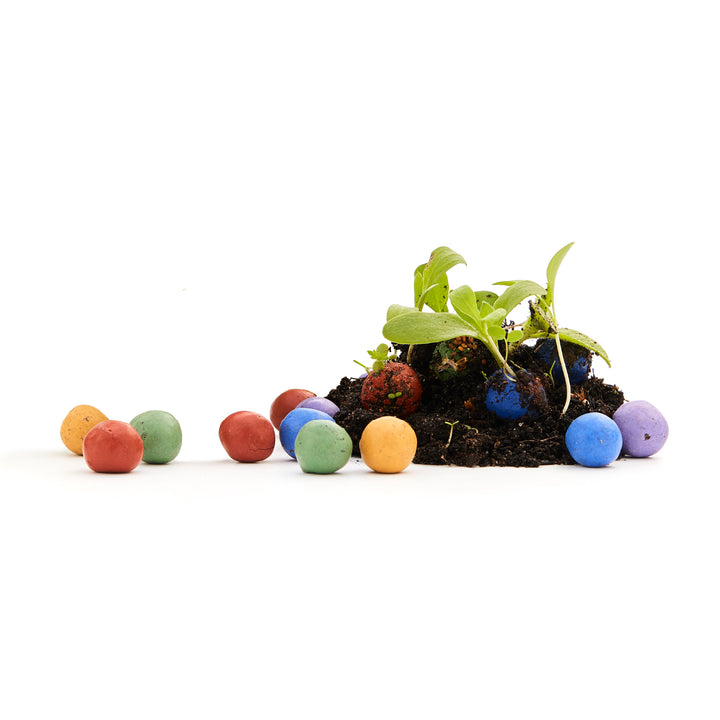 Plantas de semillero que crecen en el suelo con piedras de colores sobre un fondo blanco.