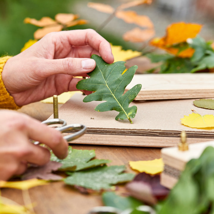 Las manos colocan una hoja verde sobre una prensa de madera, rodeada de coloridas hojas de otoño.