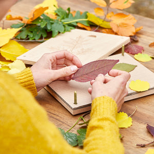 Una persona con un suéter amarillo coloca hojas de otoño de colores en una prensa de plantas sobre una mesa de madera.