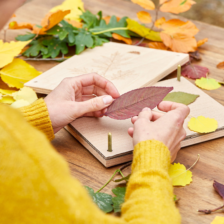 Una persona con un suéter amarillo coloca hojas de otoño de colores en una prensa de plantas sobre una mesa de madera.