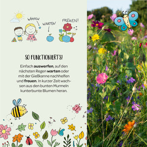 Ilustración de niños sembrando semillas, esperando y disfrutando de las flores; junto a ellas, un prado floreciente con una mariposa e insectos dibujados.